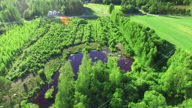 Artificial pond at water treatment wetland near country road