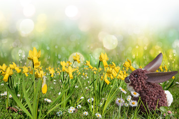 Wiese mit Narzissen und Gänseblümchen, selbstgebastelter Osterhase