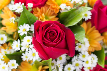 Red rose for Valentine,Close-up rose,Bouquet of red rose,Flowers show love,Bouquet of red flower and white flower