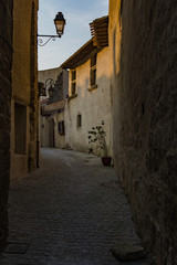 Borgo medievale di Carcassonne, Francia