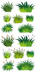 Different pattern of green grass