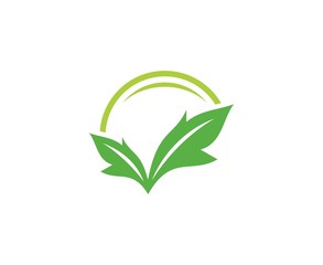 Leaf logo