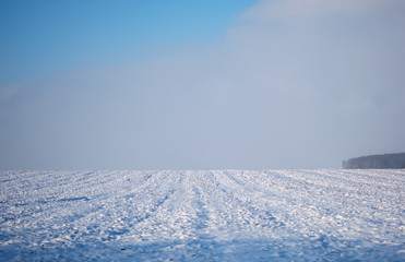 Fototapeta na wymiar winter background landscape white field and blue sky