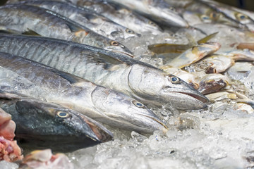 Frozen mackerels in ice saving for selling