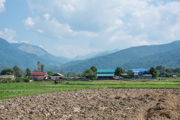 Naklejka premium small village in the green rice fields in Pua ,Nan Province ,Thailand
