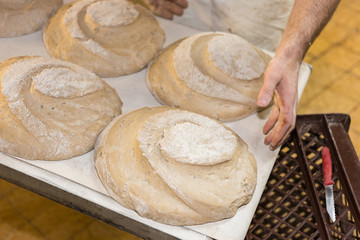 preparation of baked goods