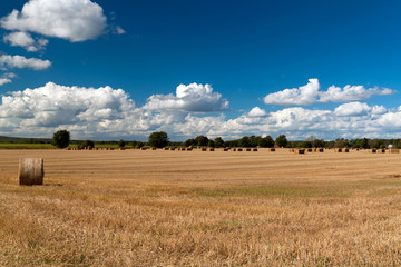 Fototapeta premium Hay bales on the swedish field