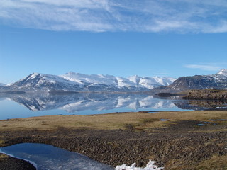 Typische Isländische Natur