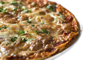 Tasty pizza with  pepperoni