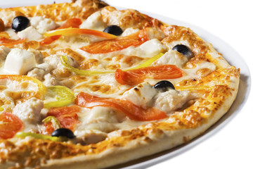 Tasty pizza with vegetables and cheese