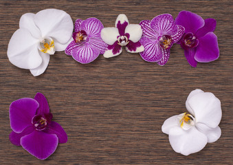 orchid flowers on brown texture background for spa design