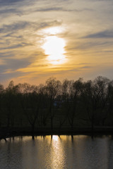 sunset over the pond with reflection trees in the spring