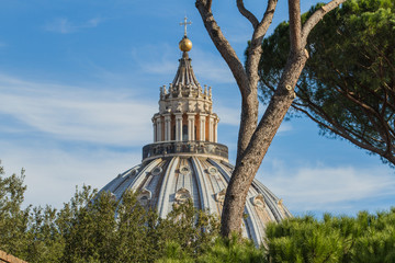 Veduta della cupola di San Pietro (Roma, Italia, Europa)