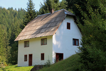 Fototapeta na wymiar Old traditional house near forest , Bosnia and Herzegovina
