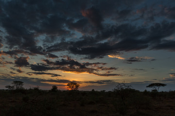 Abendhimmel über der Serengeti