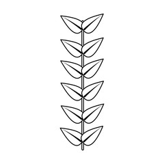 branch leaves stem bloom image vector illustration outline