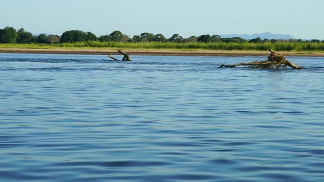 African landscape seen from a boat