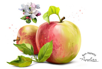 Apples, flowers and splashes of watercolor painting
