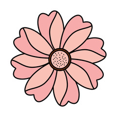 flower natural petal decoration image vector illustration