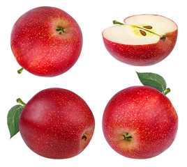 Fresh red apple isolated on white background with clipping path