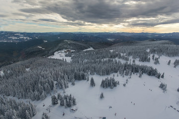 Fototapeta na wymiar Amazing winter landscape of Rhodope Mountains near pamporovo resort, Smolyan Region, Bulgaria