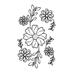 flowers emblem icon image vector illustration design  black sk