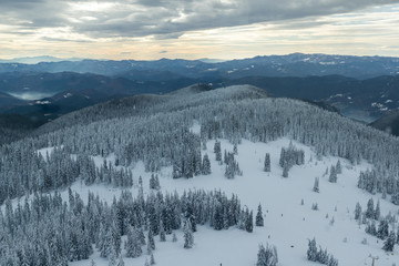 Amazing winter landscape of Rhodope Mountains near pamporovo resort, Smolyan Region, Bulgaria