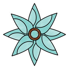 flower topview icon image vector illustration design 