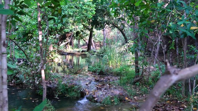 Flowing water in shady river