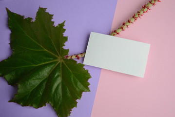 Mockup for a one-way business card. Leaf of royal begonia	