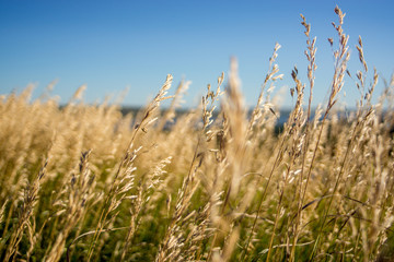 On the Missouri River