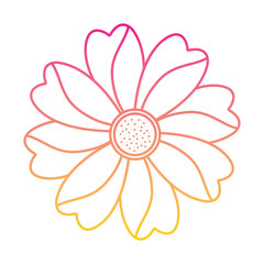 flower natural petal decoration image vector illustration   line color