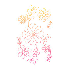 cute flowers decoration natural image vector illustration   line color