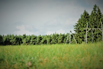 Obraz premium sound of nature/