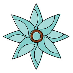 flower topview icon image vector illustration design 