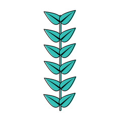 leaves with stem icon image vector illustration design 