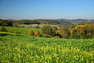 Landschaft zwischen Ursenbach und Oberflockenbach im Odenwald – Oberflockenbach