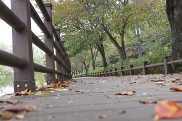 A path way in Korea park