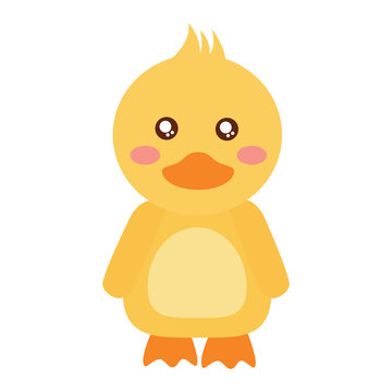 duck cute animal icon image vector illustration design 