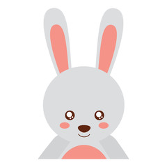 rabbit or bunny cute animal icon image vector illustration design 