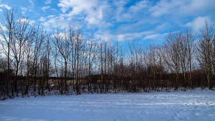 Winterlandschaft mit Bäumen blätterlos