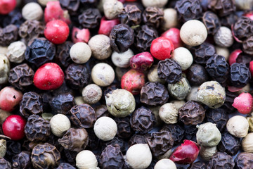 Mix of pepper consists of red, white and black peppers (macro concept)