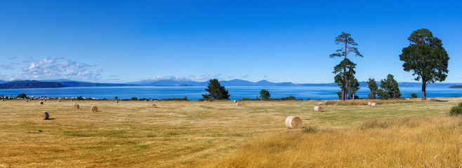 Picturesque landscape, lake Taupo panorama © NMint