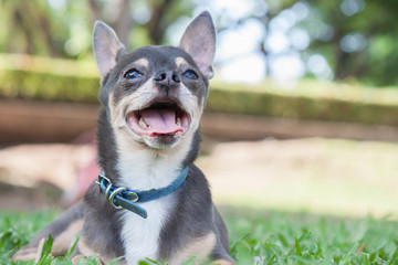 Disfrutando el paisaje