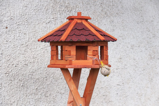 bird great tit Parus major feeding in bird feeder, bird house on winter garden in frosty snowy day