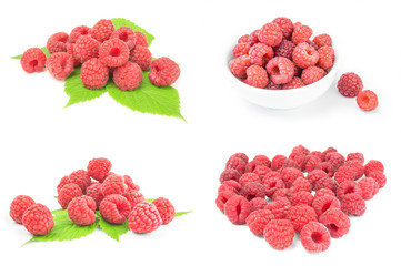 Collage of rubusberry close-up on white