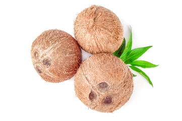 Coconut isolated on a white background with clipping path