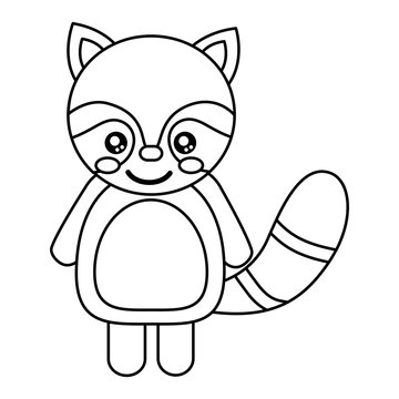 cute animal raccoon standing cartoon wildlife vector illustration outline design