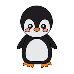 penguin cute animal icon image vector illustration design 