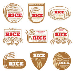 Obraz premium Paddy rice vector labels. Organic natural product emblems